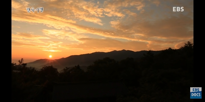 지리산에서 혼자 사는 스님이 일상적으로 보는 풍경 | 인스티즈