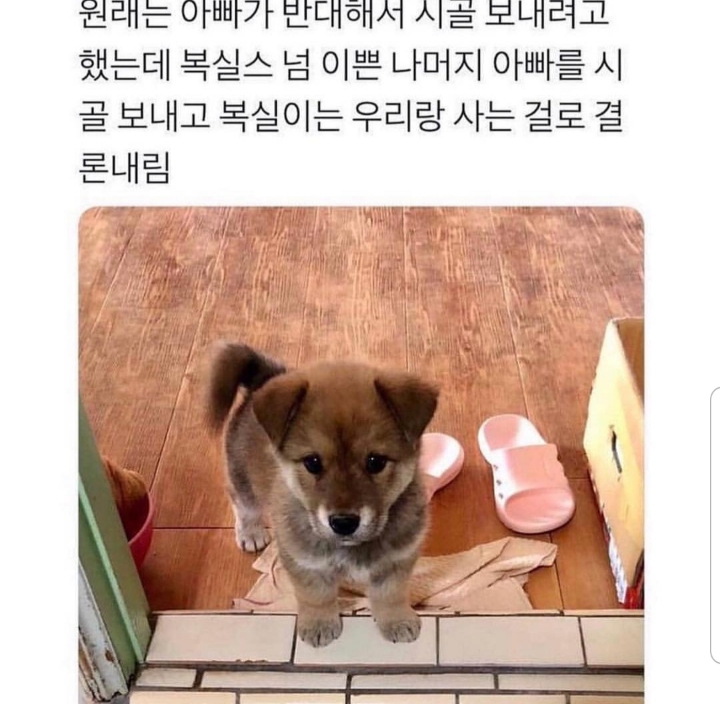 웃긴 일화 모음.jpg | 인스티즈