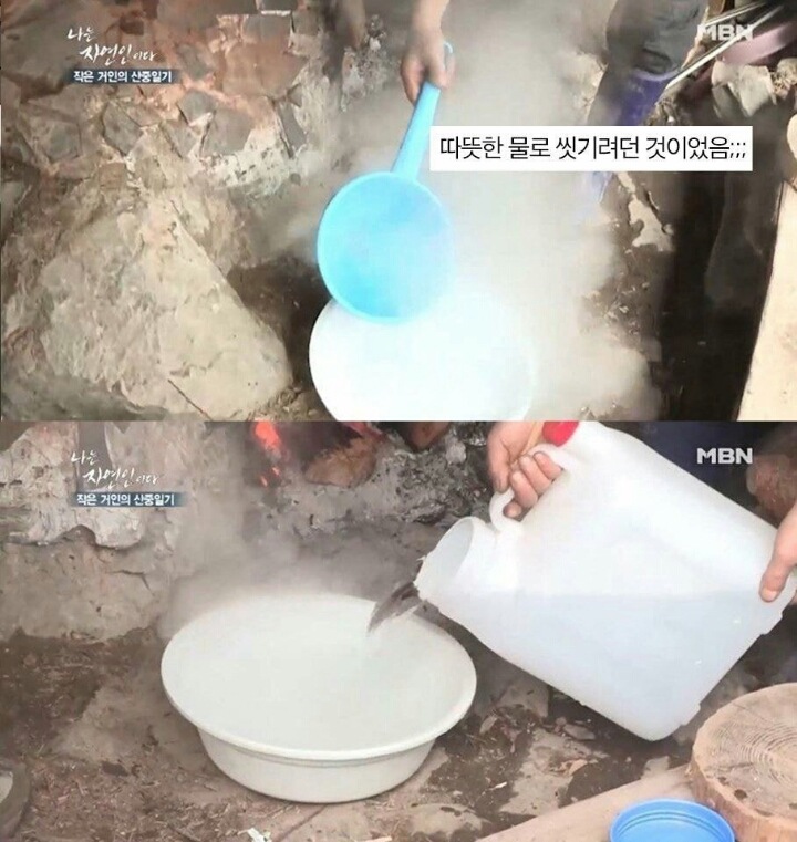 자연인에 나온 고양이.jpg | 인스티즈