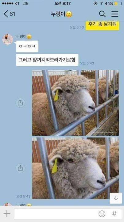 안녕하세요. 제 이름은 초원이에요! | 인스티즈