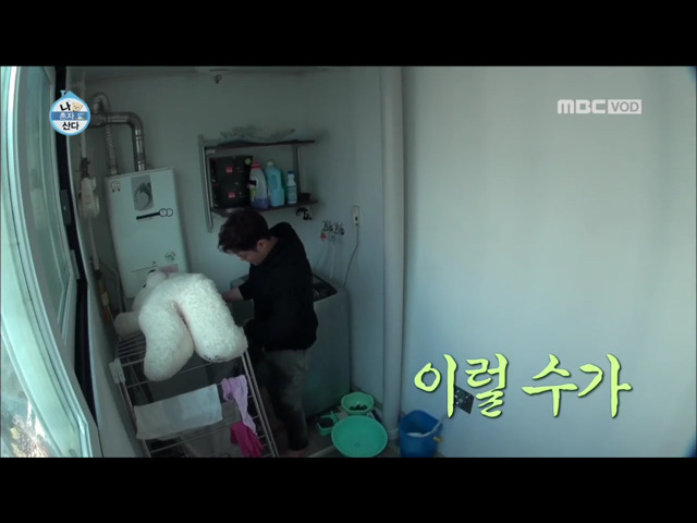 전현무 윌슨 목욕시키기 | 인스티즈