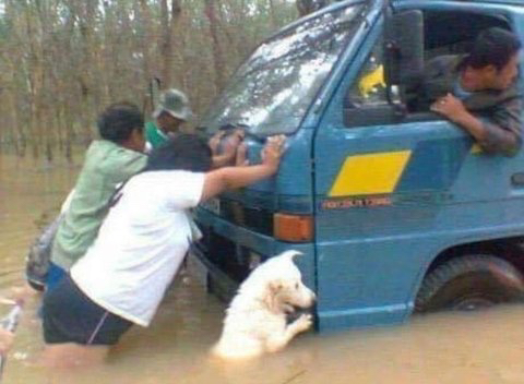 동물 좋아하세요? | 인스티즈