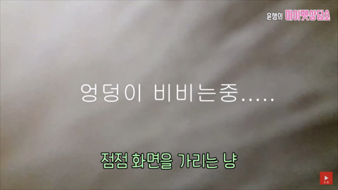 고양이 좋아 하는 사람만. (심쿵) | 인스티즈