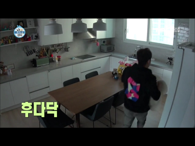 전현무 윌슨 목욕시키기 | 인스티즈