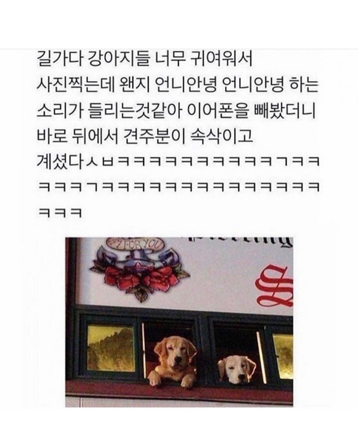 양으로 승부한다.jpg | 인스티즈