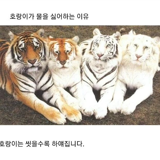 정부가 숨기는 동물의 비밀.jpg | 인스티즈