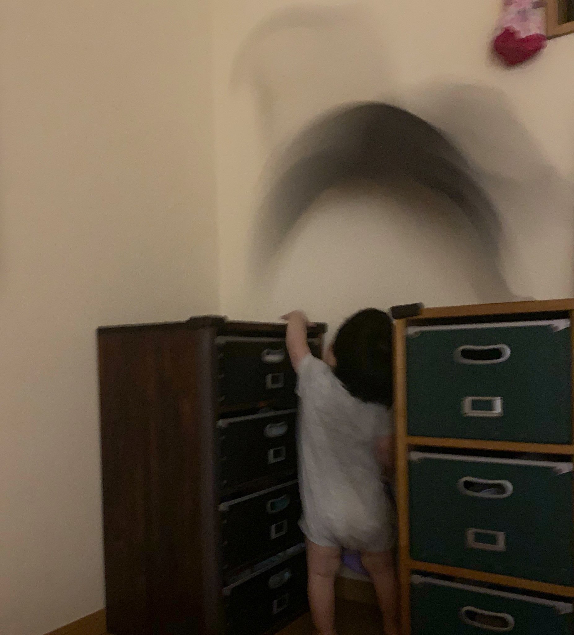 고양이와 아기 조합이면 흐뭇한 사진이 나올 거라고 생각했죠 | 인스티즈