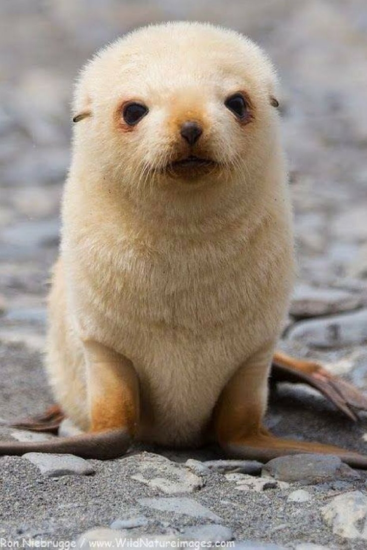 귀여운거 보고 가라 | 인스티즈