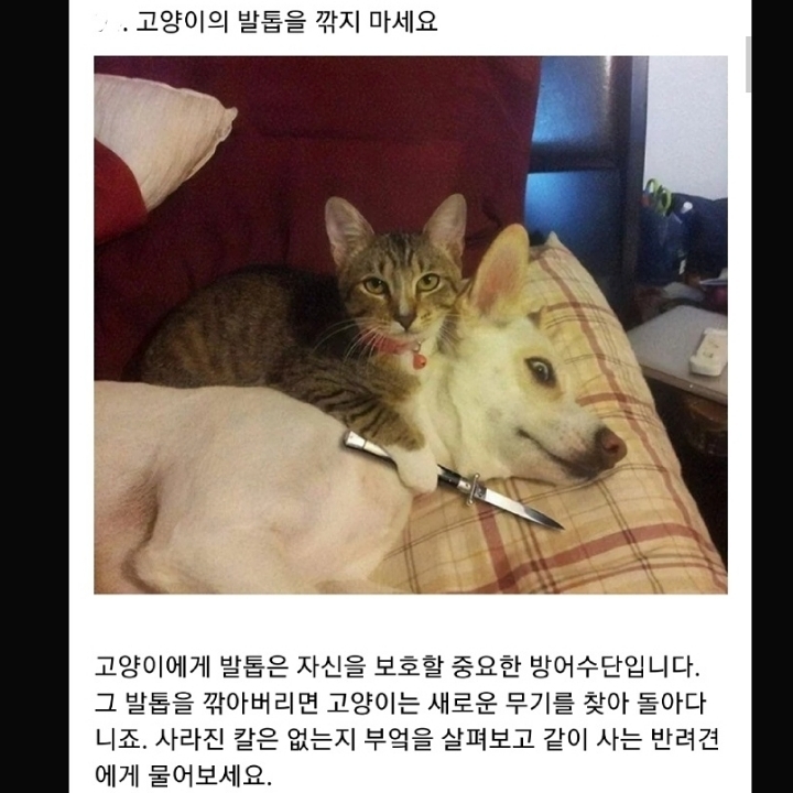 정부가 숨기는 동물의 비밀.jpg | 인스티즈
