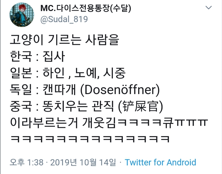 나라별 고양이 키우는 사람을 지칭하는 말 | 인스티즈