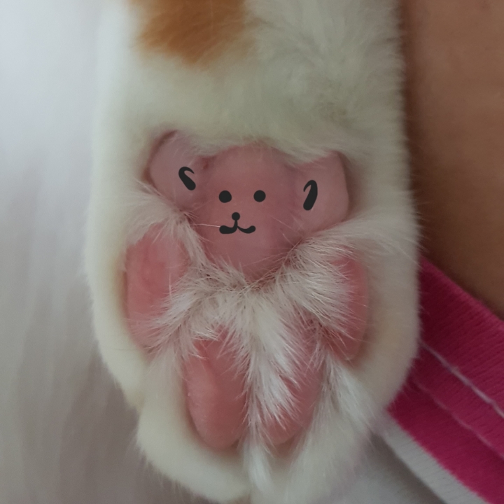 내발자취는 뒤에 오는이에게 길안내.. | 인스티즈