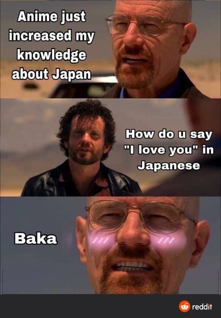 애니메이션은 제게 일본에 대한 지식을 알려줘요 | 인스티즈