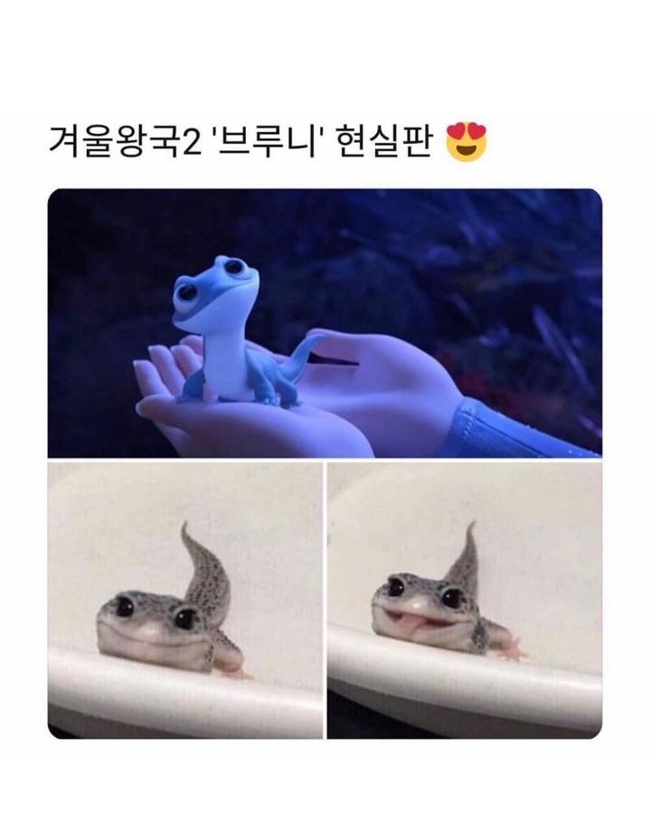 양으로 승부한다.jpg | 인스티즈