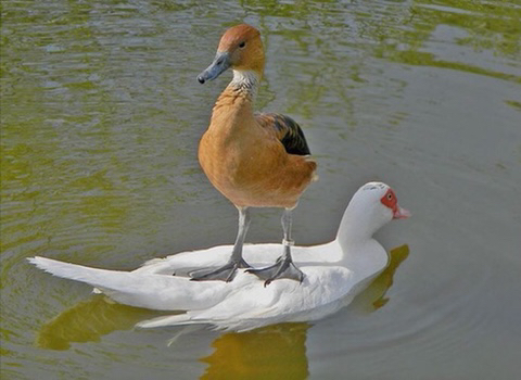 동물 좋아하세요? | 인스티즈