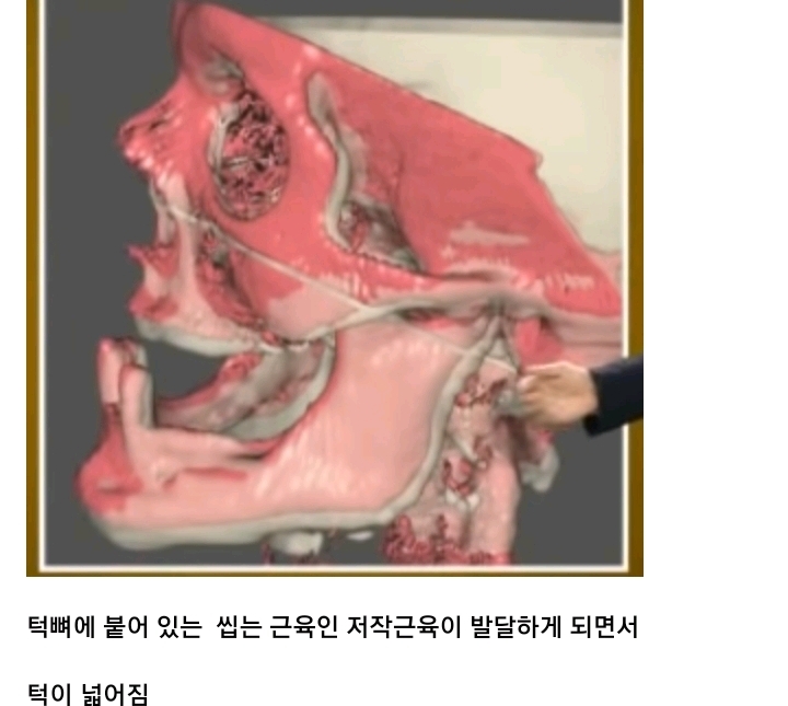 나이들수록 얼굴이 커지는 이유.jpg | 인스티즈