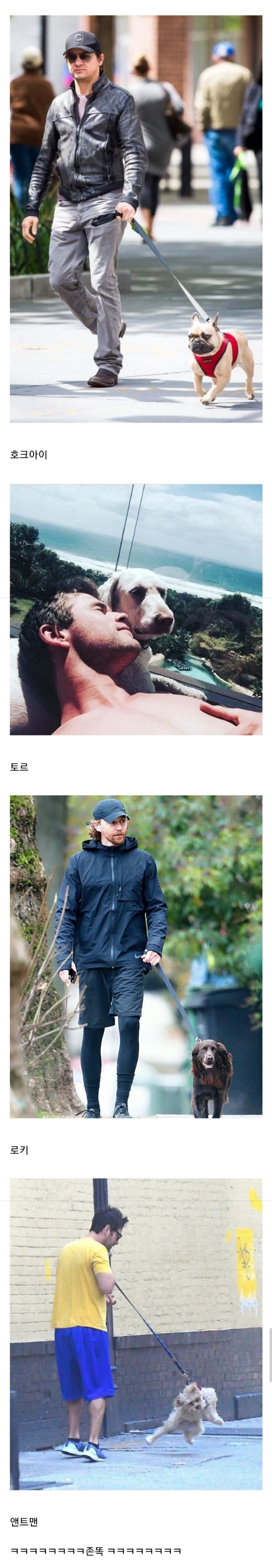 자기 닮은 댕댕이 키우는 어벤져스 멤버들 | 인스티즈