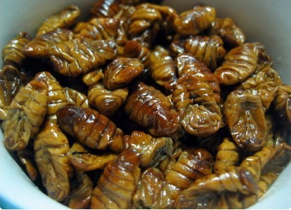 호불호 갈리는 음식들 중 나는 호인 음식 골라보기 | 인스티즈