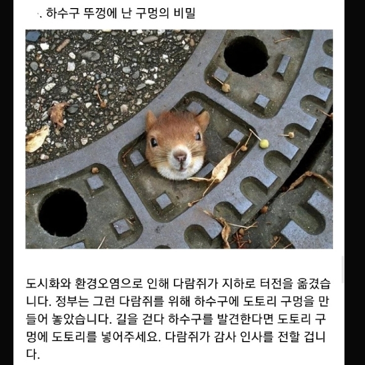 정부가 숨기는 동물의 비밀.jpg | 인스티즈
