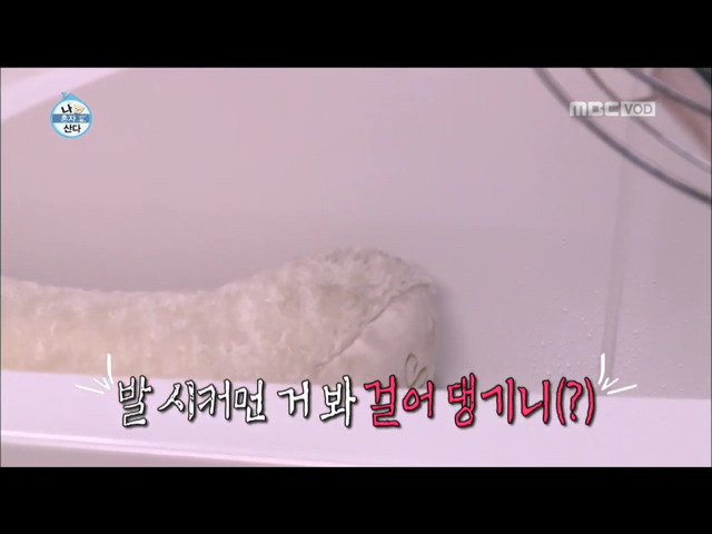 전현무 윌슨 목욕시키기 | 인스티즈