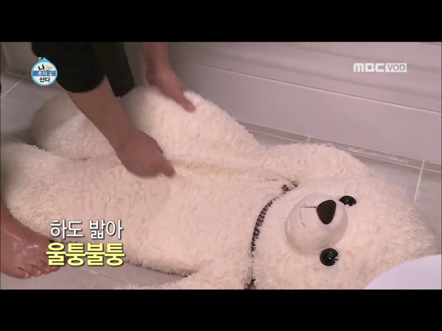 전현무 윌슨 목욕시키기 | 인스티즈