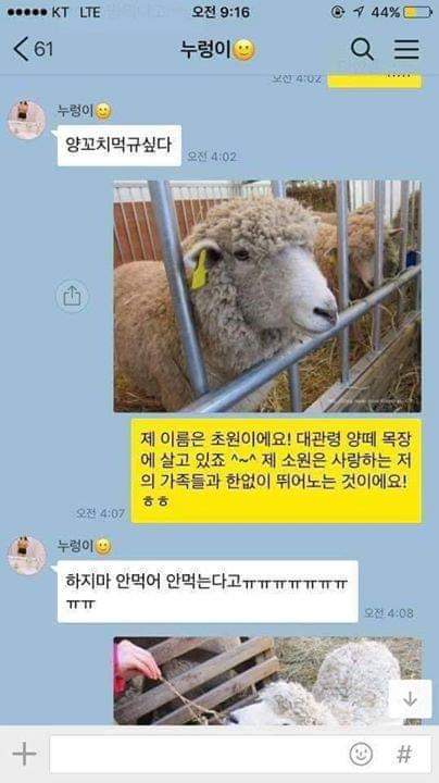 안녕하세요. 제 이름은 초원이에요! | 인스티즈