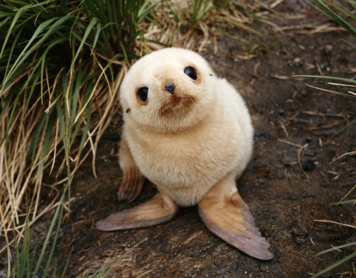 귀여운거 보고 가라 | 인스티즈