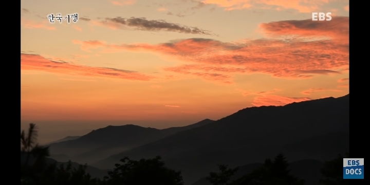 지리산에서 혼자 사는 스님이 일상적으로 보는 풍경 | 인스티즈