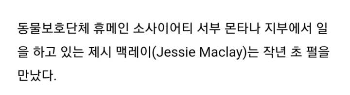 다이어트에 성공한 강아지 | 인스티즈