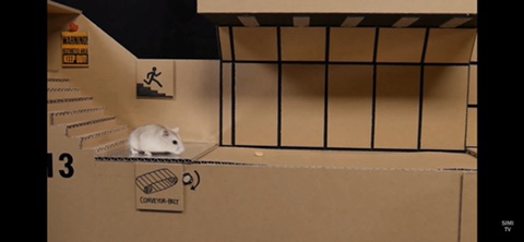 햄스터 전용 지하벙커 | 인스티즈