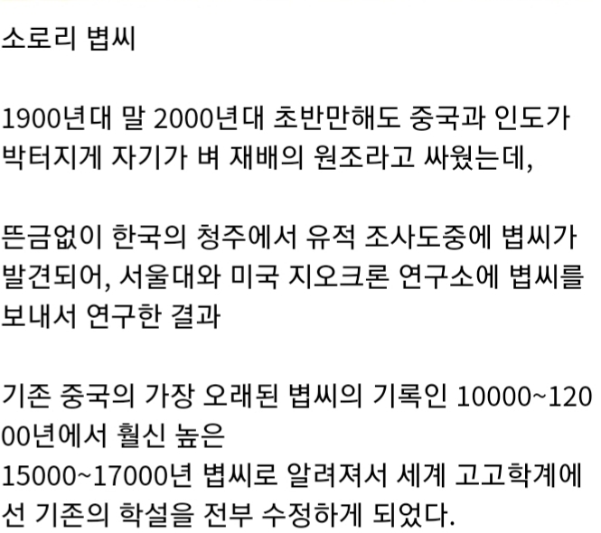 한국이 "쌀의 민족"인 이유류 甲 | 인스티즈