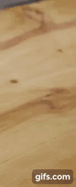 국순당 직원들이 막걸리 흔드는 법.GIF | 인스티즈