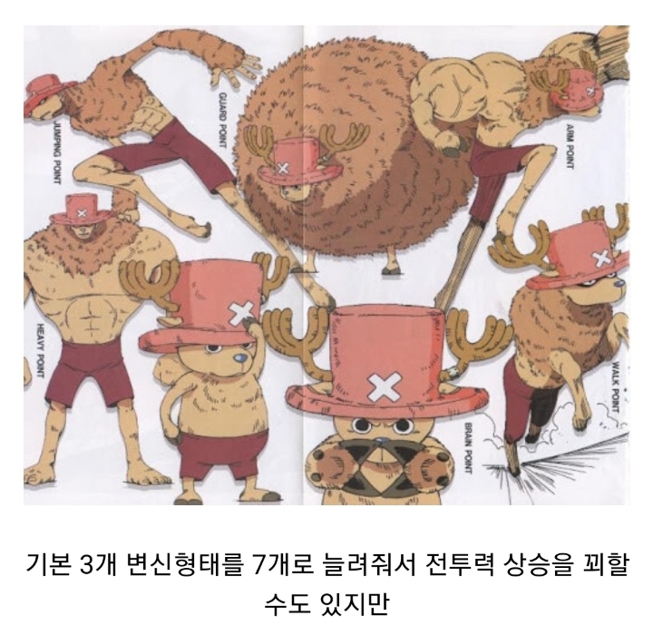 원피스) 카이도가 적극 영입해야할 인재 .JPG | 인스티즈
