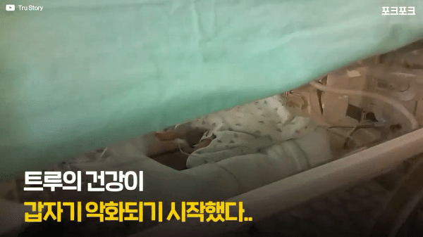 400g으로 태어난 26주 미숙아의 기적의 여정...JPG | 인스티즈