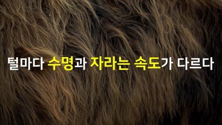 겨드랑이 털은 왜 계속 안 자랄까?.JPG | 인스티즈