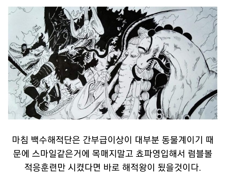 원피스) 카이도가 적극 영입해야할 인재 .JPG | 인스티즈