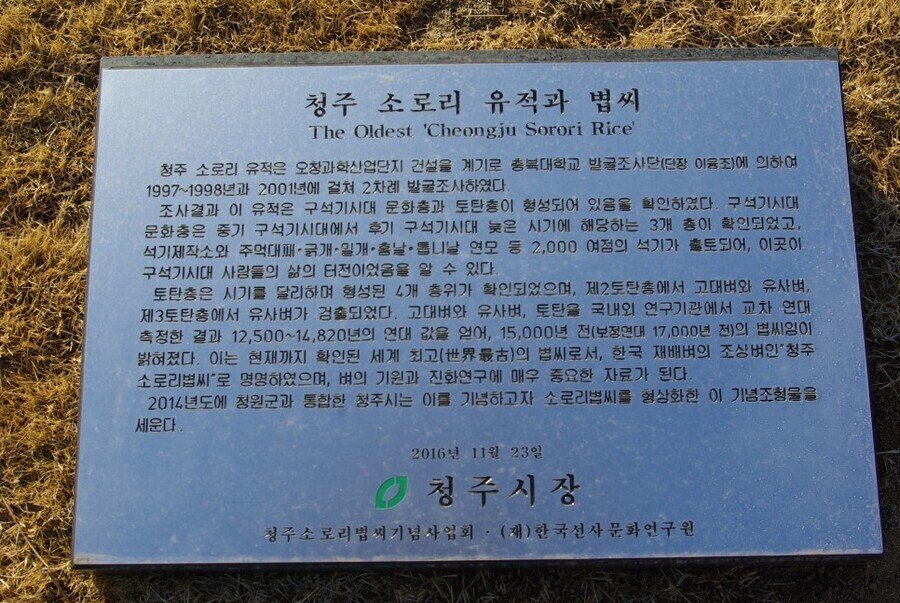 한국이 "쌀의 민족"인 이유류 甲 | 인스티즈