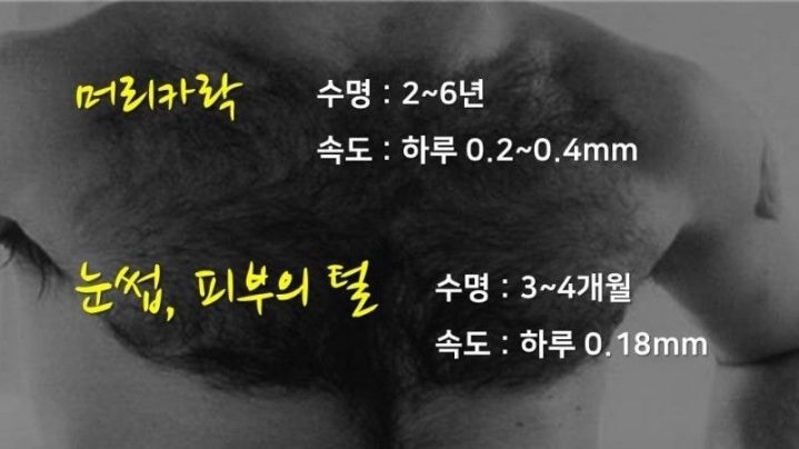 겨드랑이 털은 왜 계속 안 자랄까?.JPG | 인스티즈