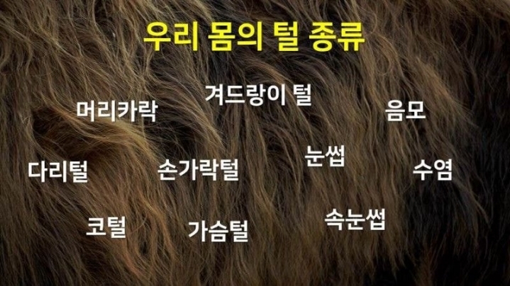 겨드랑이 털은 왜 계속 안 자랄까?.JPG | 인스티즈