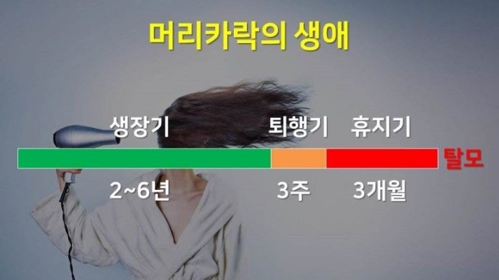 겨드랑이 털은 왜 계속 안 자랄까?.JPG | 인스티즈