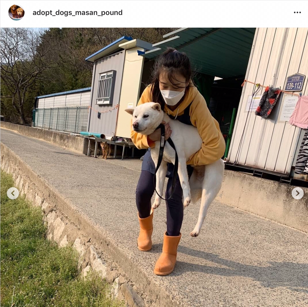 다연 이미지