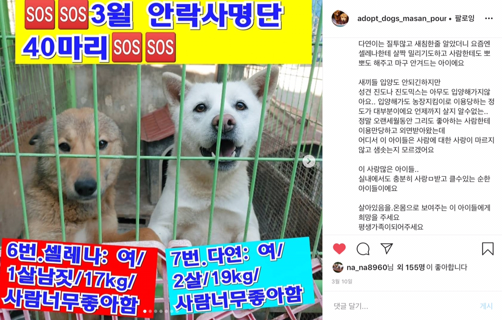 (유)다연 이미지