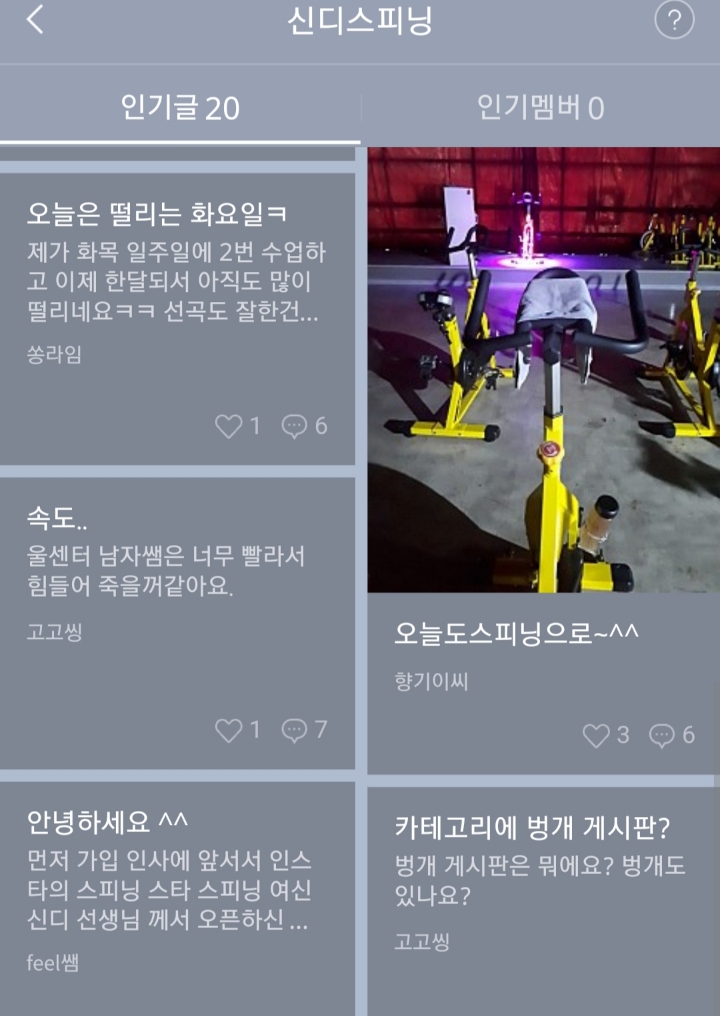 신디스 이미지