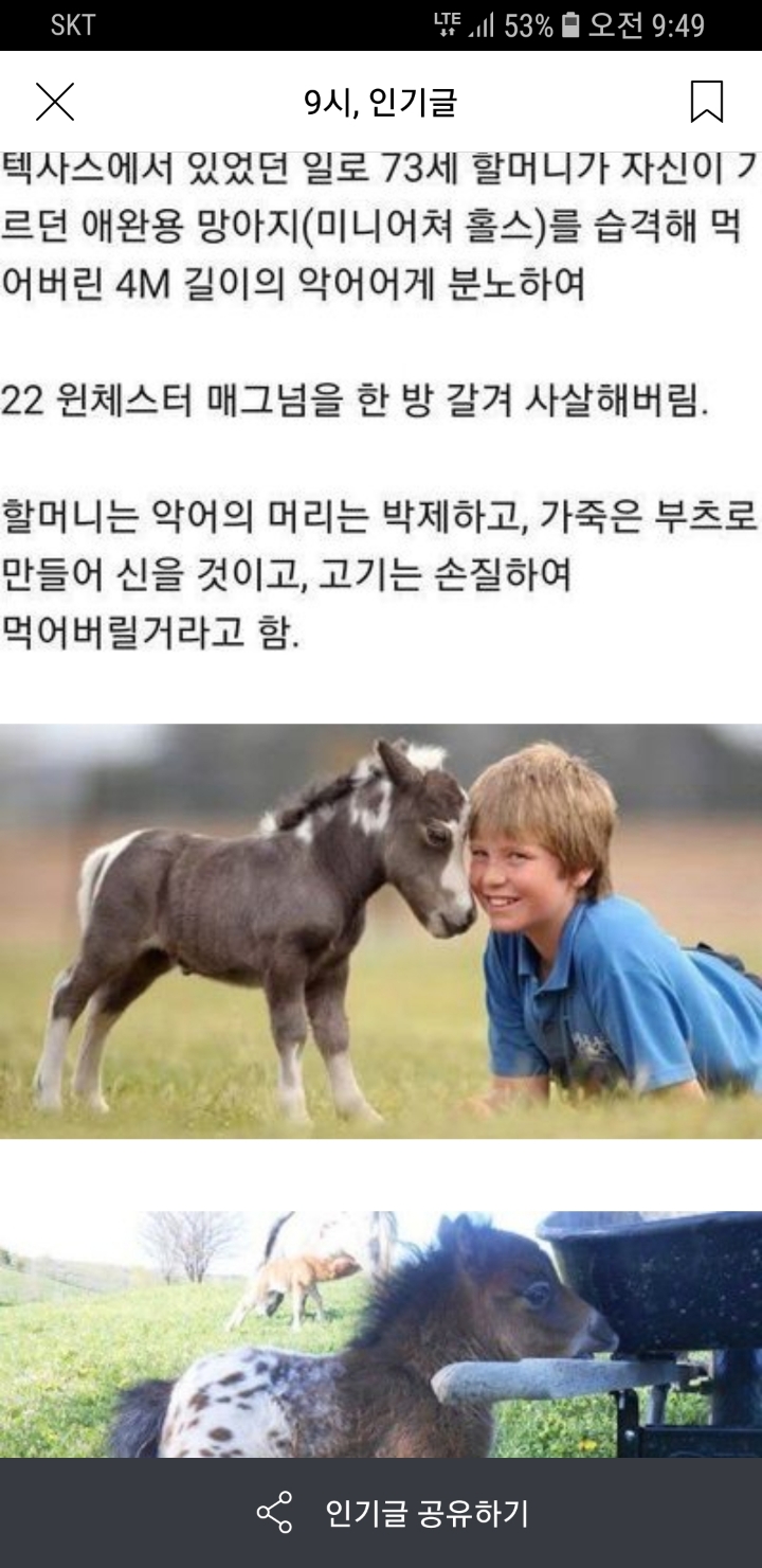 할머니 썃건실력 대단하시네요 | 인스티즈