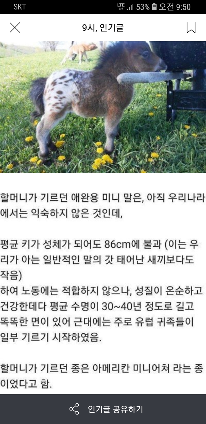 할머니 썃건실력 대단하시네요 | 인스티즈