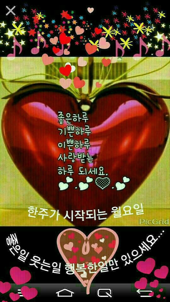 홍실 이미지