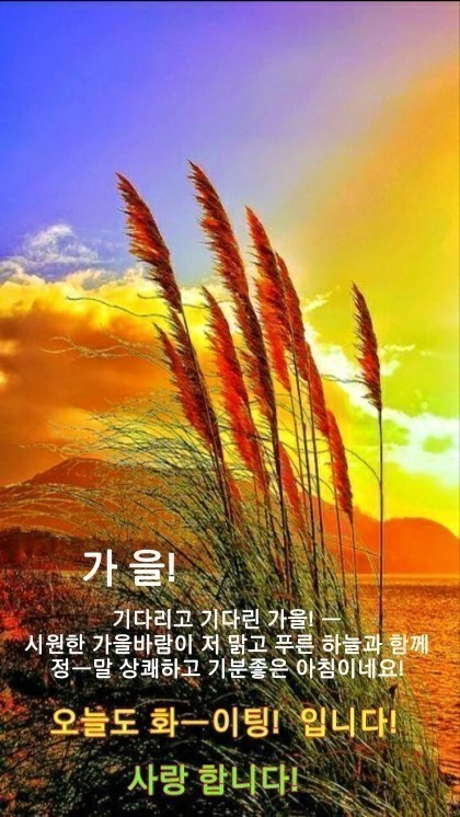대박복권나라 이미지