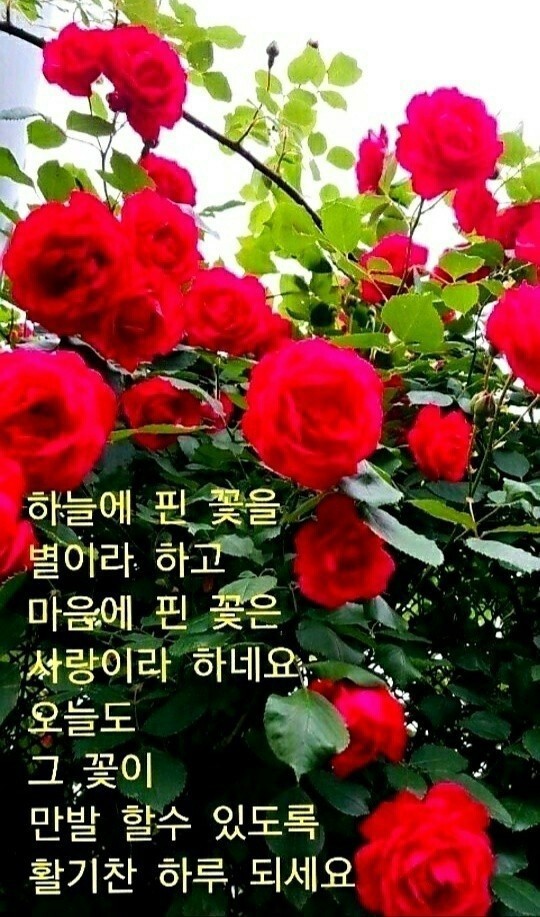 바램 이미지