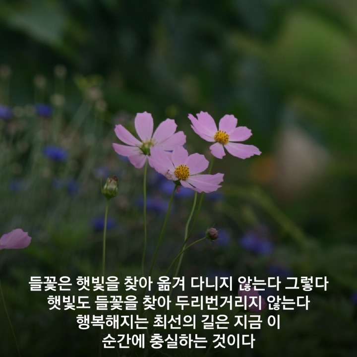 더수다카페 이미지