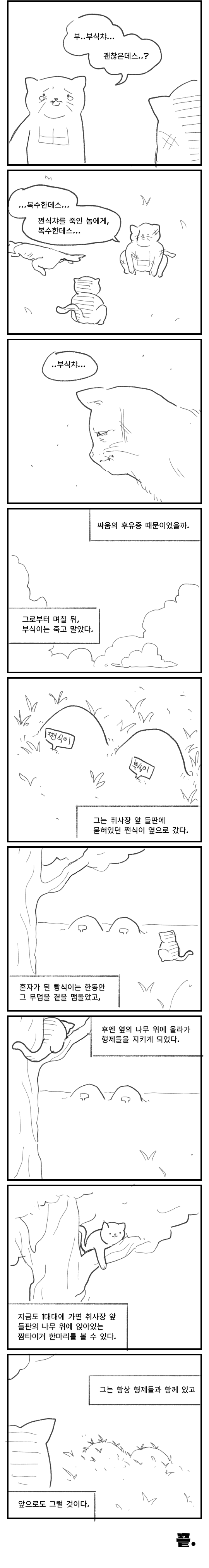 어느 짬타이거 형제들 이야기 | 인스티즈