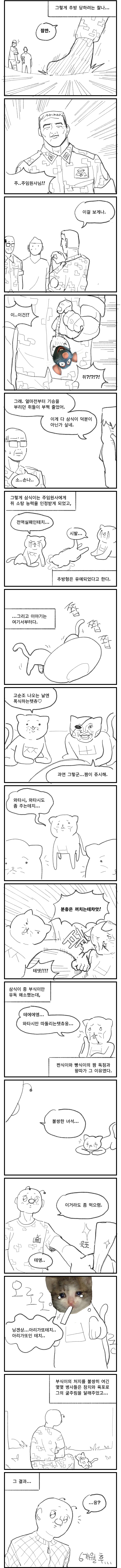 어느 짬타이거 형제들 이야기 | 인스티즈